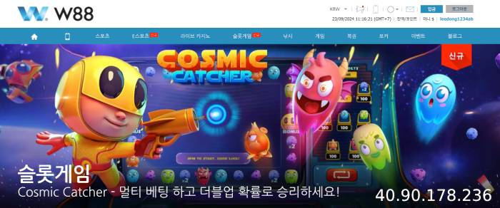 정보와 이해가 부족함 집에 대해서