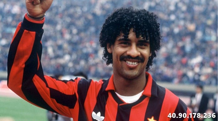 Frank Rijkaard | 라 리가 챔피언